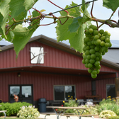 How This Entrepreneur Turned a Wisconsin Strawberry Farm into a Wine and Pizza Destination