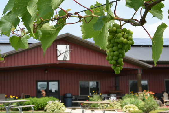 How This Entrepreneur Turned a Wisconsin Strawberry Farm into a Wine and Pizza Destination