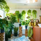 At Oasis Plant Shop, Plant Passion Grows Into Purpose