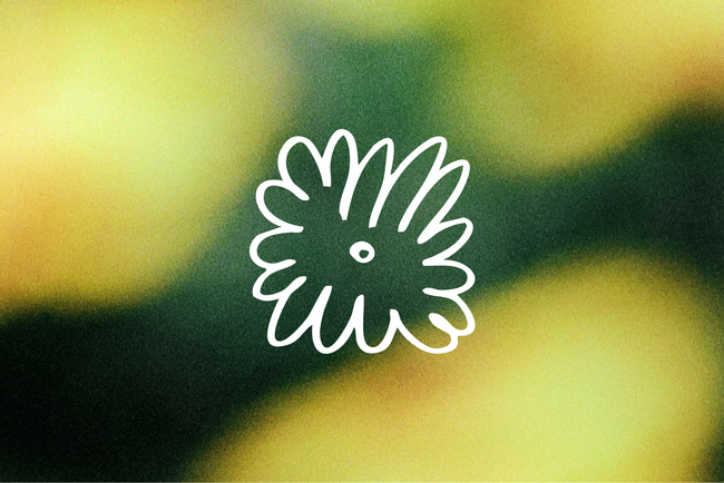 Money Well Spent: Entrepreneurs Share Their Most Worthwhile Investments This Year