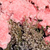 Seller Spotlight: Lilybelle Flowers