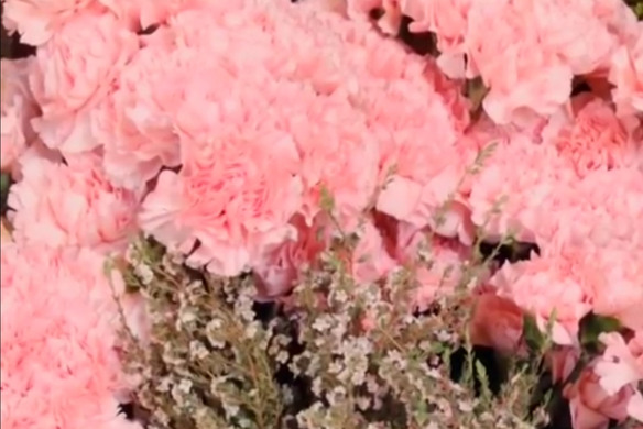 Seller Spotlight: Lilybelle Flowers