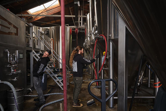 How Ghost Town Brewing Grew From Band to Brewery to Multihyphenate Business