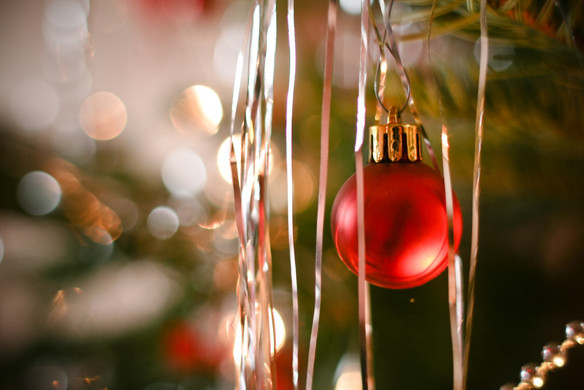 The Best Days to Buy a Christmas Tree