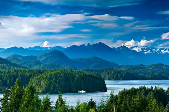 Les normes du travail de la Colombie-Britannique: tout ce dont vous devez savoir