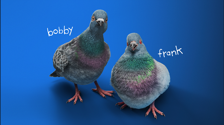 alt="Bobby-Frank.png"