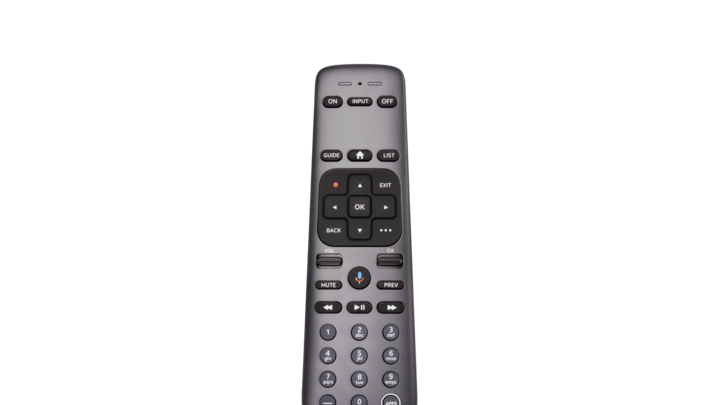alt="Gemini remote.png"