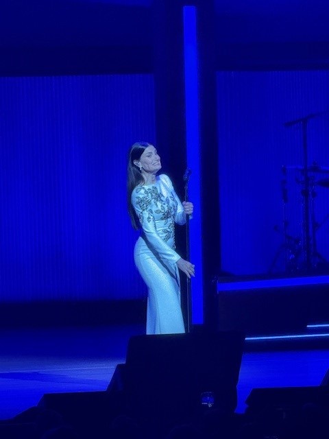 alt="Idina Menzel SUFH Gala.jpg"