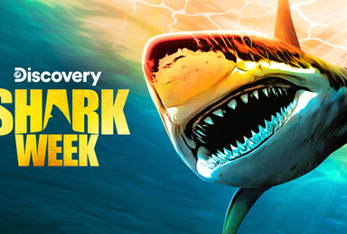 Shark Week 2023: Guide to Discovery’s Summer Event