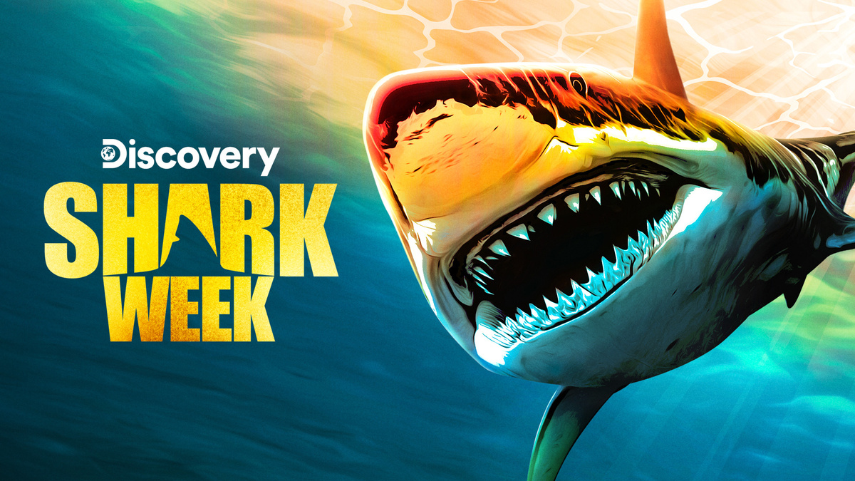 Shark Week 2023 Guide to Discovery Channel's Summer Event DIRECTV
