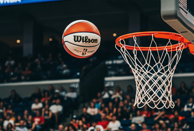 The 2026 WNBA Season Is Here. Get Your Business Ready to Draw in the Crowds.