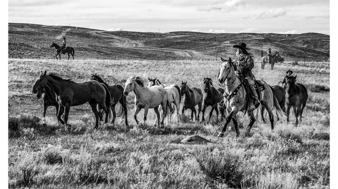 The 15 Best Western Films to Tip Your Hat to