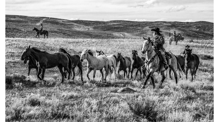 The 15 Best Western Films to Tip Your Hat to