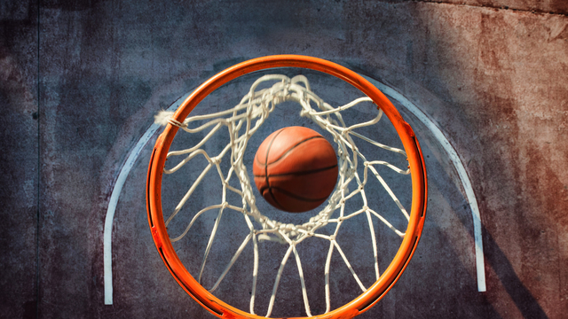 Uncover Your Sports Fan DNA – Take the Quiz! - Submission