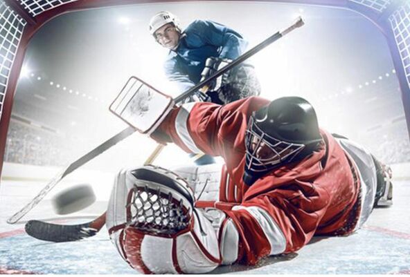 Best NHL Goalies 2026-27: The Top 10 in the Net Right Now